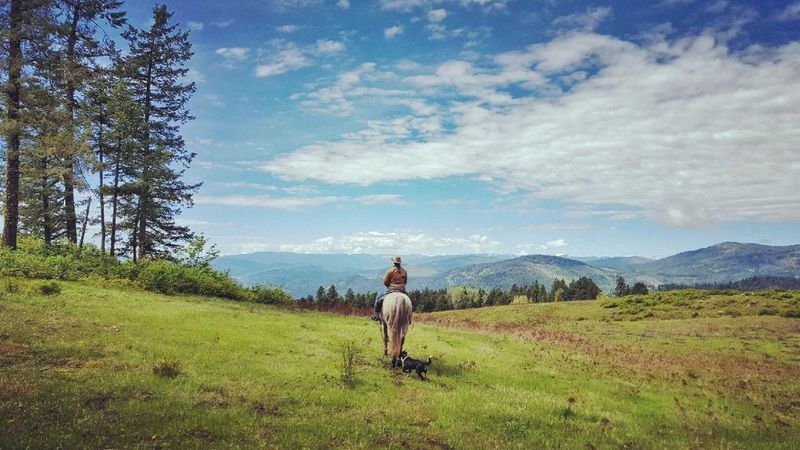 Perfect for Solo Travelers and Groups Alike