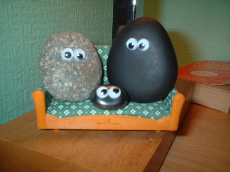 Pet Rocks Are Still a Thing