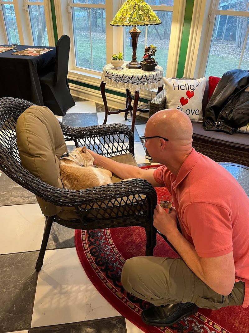 Pet Therapy, Murray, and the Charm of a Truly Home-Like Stay