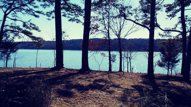 Photography Opportunities Around the Lake