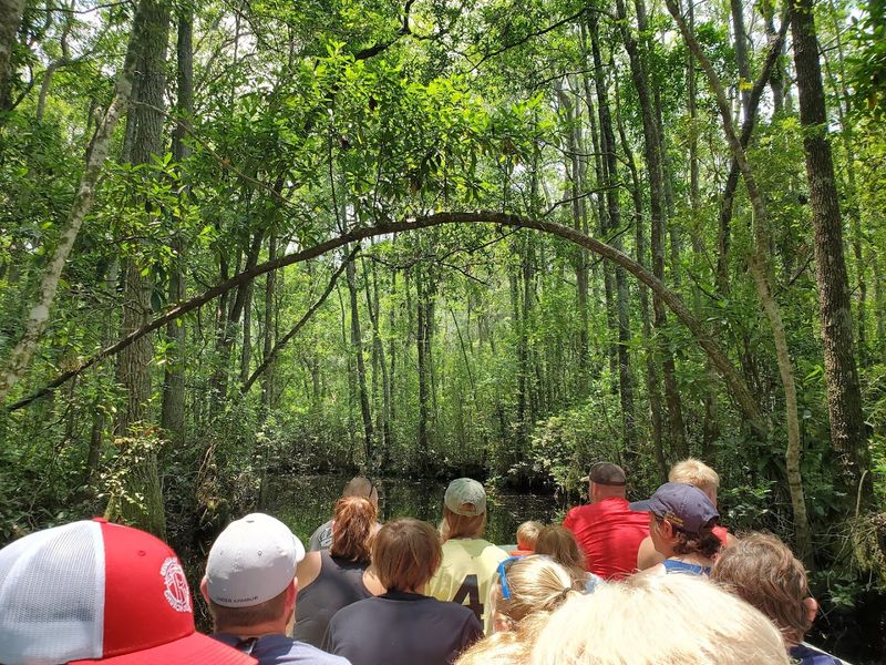 Photography Opportunities Throughout the Park