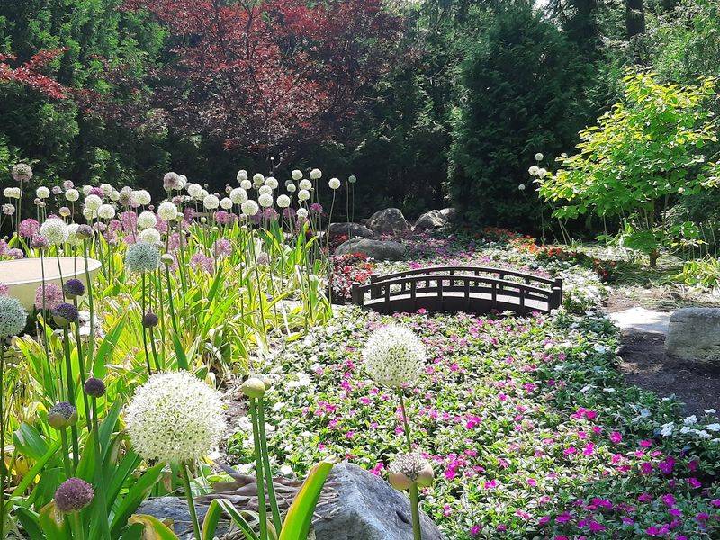 Photography Tips for This Compact Space