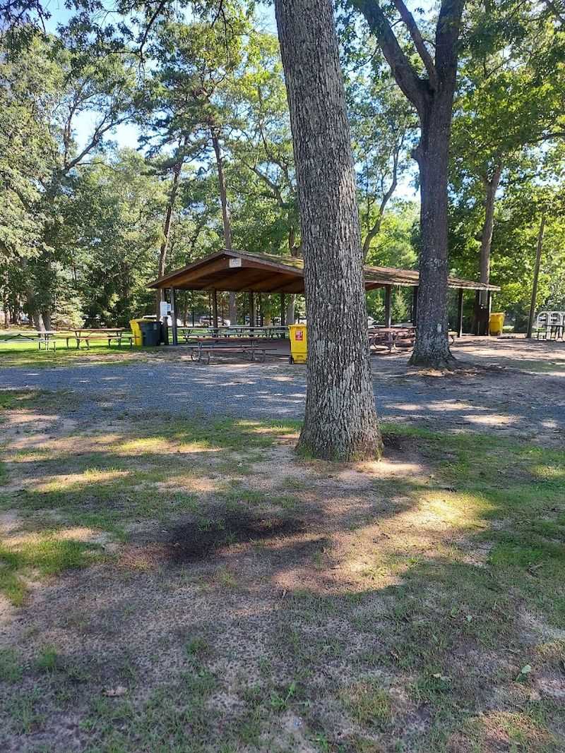 Picnic Areas Built for Full-Family Gatherings