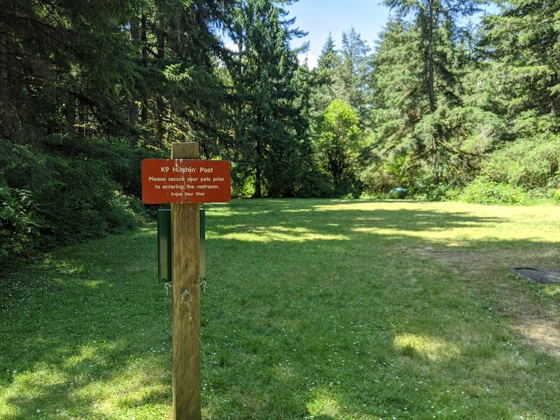 Picnic Areas That Actually Give You Space to Breathe