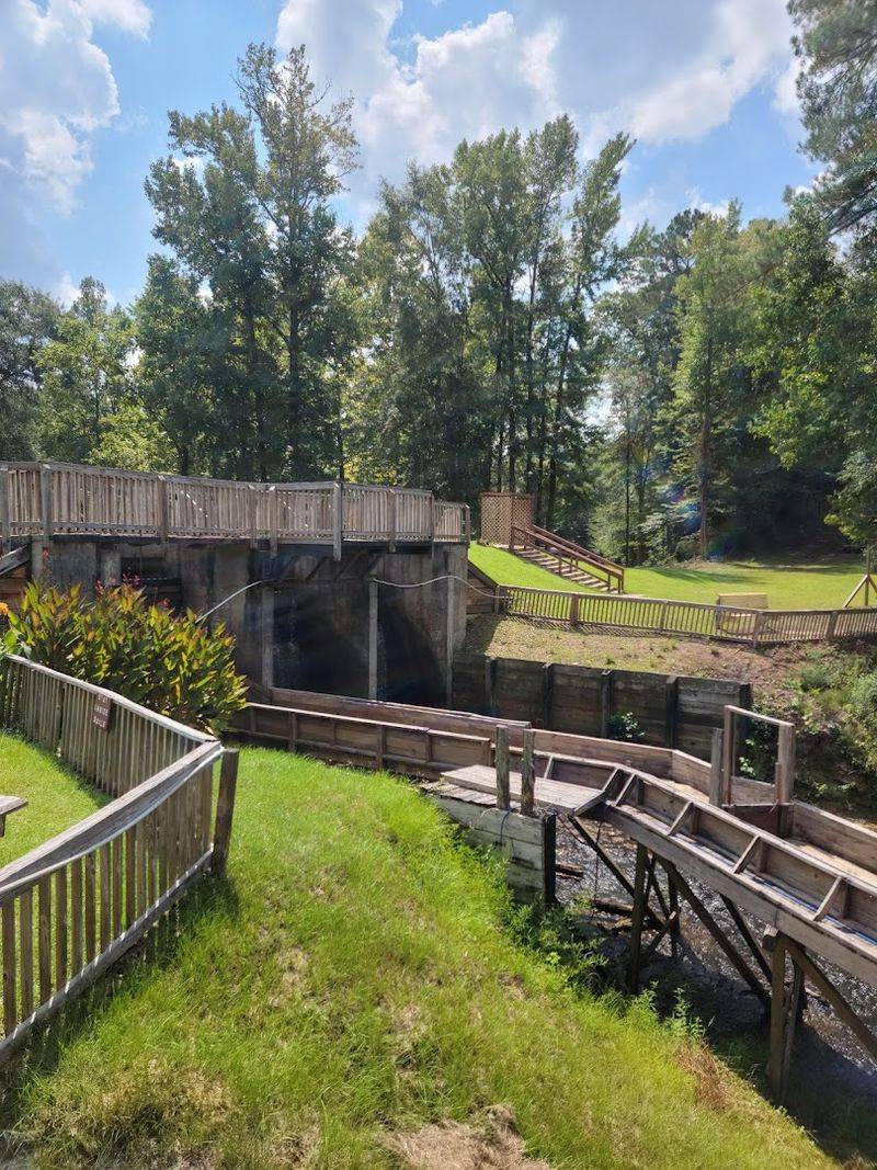 Picnic Areas and Family-Friendly Spaces