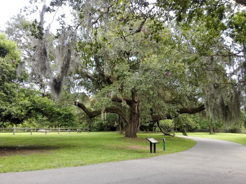 Picnic Areas and Open-Air Relaxation
