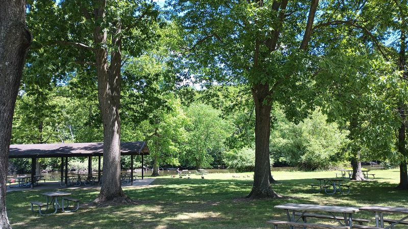 Picnic Shelters and Grilling Setups Worth Knowing About