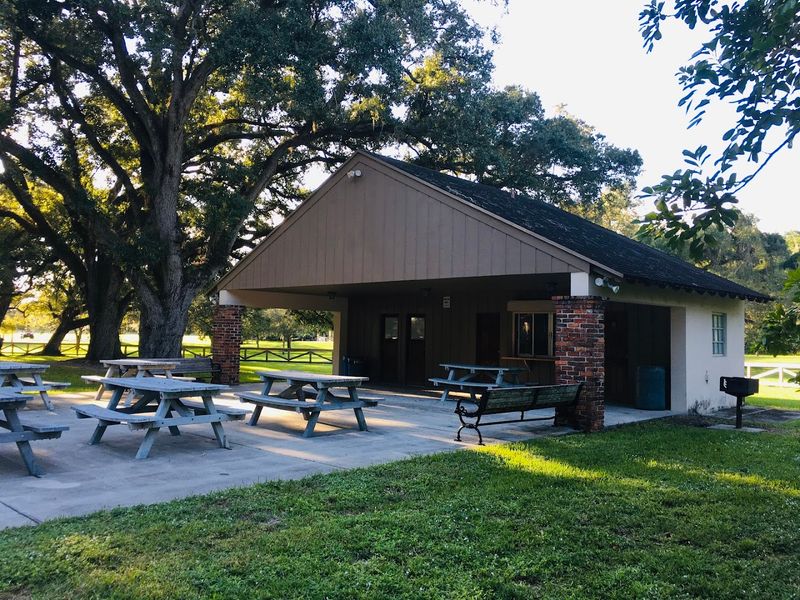 Picnic Spots That Are Worth Planning Around