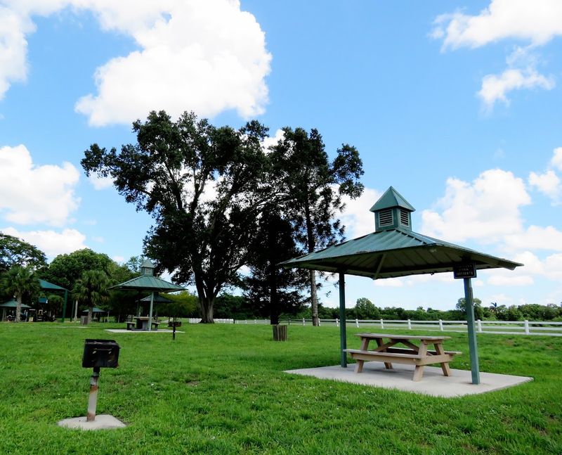 Picnic Spots Worth Claiming Early Picnic Spots Worth Claiming Early