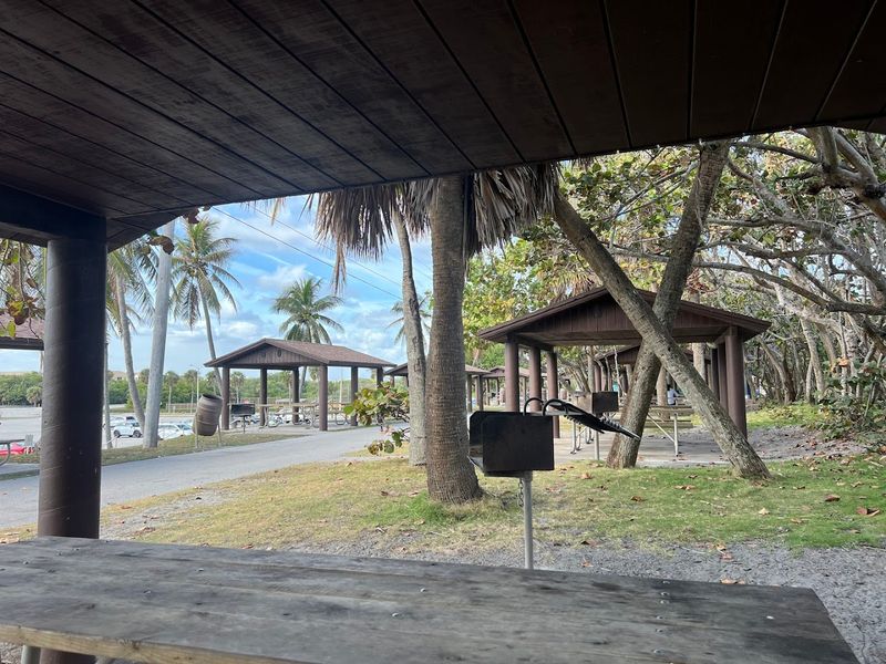 Picnic Spots and Pavilions: Where Lunch Gets an Ocean View