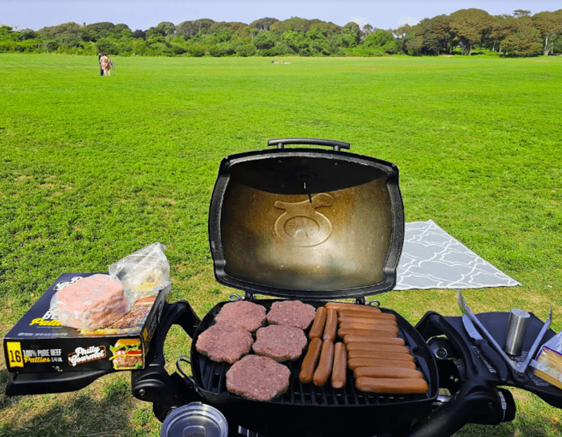 Picnicking With a View That Most Parks Cannot Match Picnicking With a View That Most Parks Cannot Match