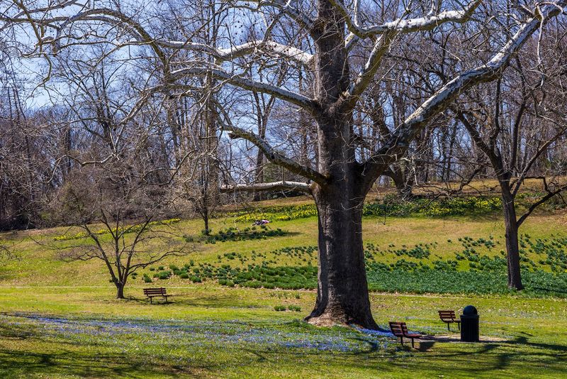 Picnics, Benches, and the Art of Doing Absolutely Nothing Picnics, Benches, and the Art of Doing Absolutely Nothing