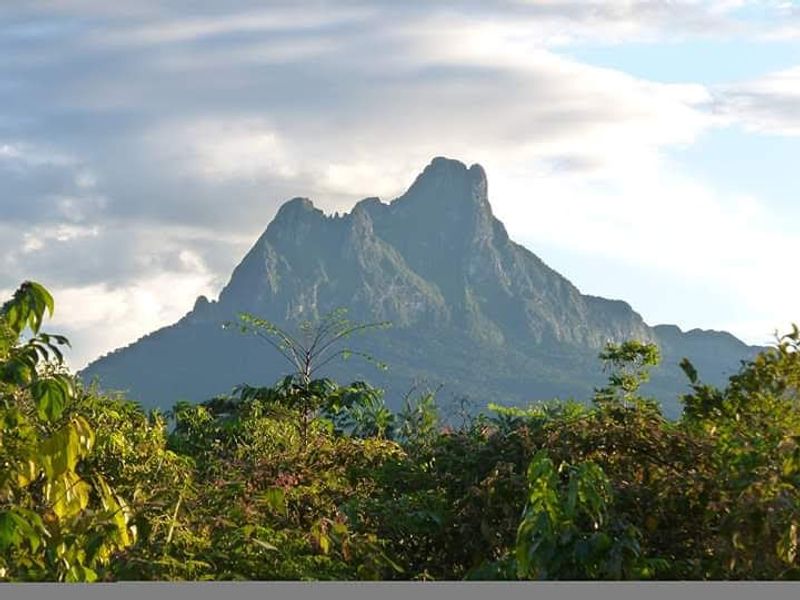 Pico da Neblina National Park