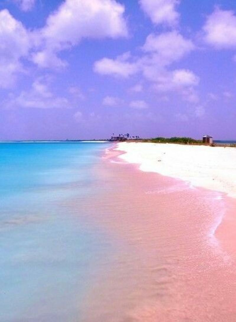 Pink Sands Beach, Harbour Island, Bahamas Pink Sands Beach, Harbour Island, Bahamas