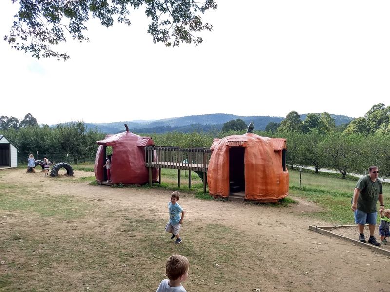 Planning Your Visit: Practical Tips for First-Timers