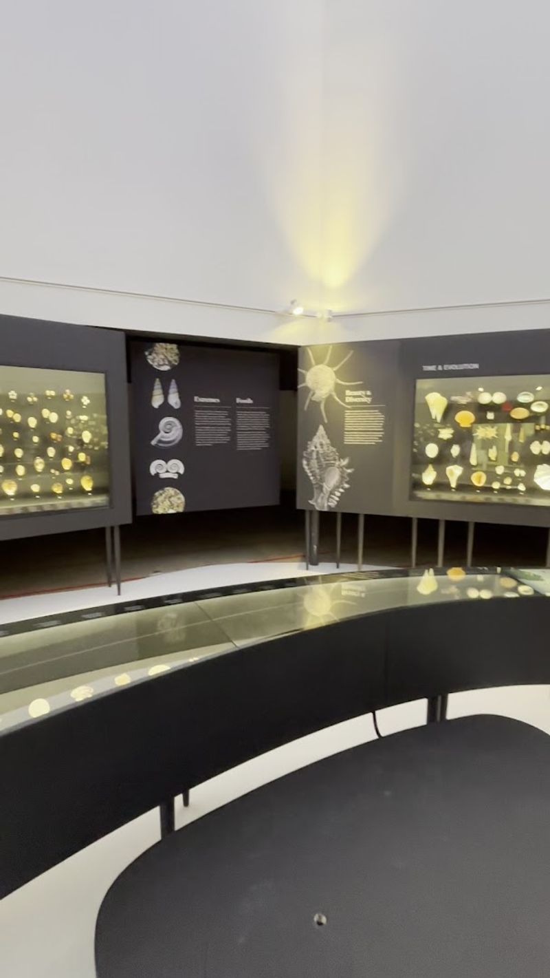 Planning Your Visit: Practical Tips for Getting the Most Out of It