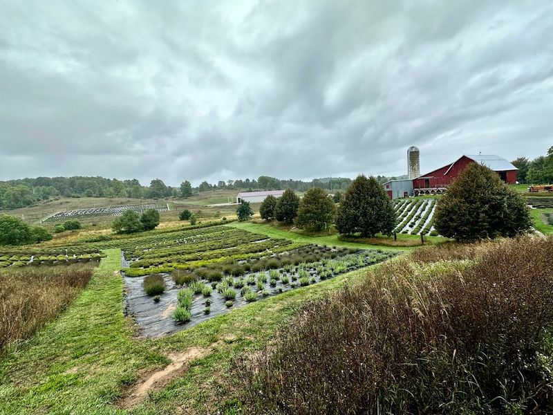 Planning Your Visit: Practical Tips for Getting the Most Out of the Farm Planning Your Visit: Practical Tips for Getting the Most Out of the Farm