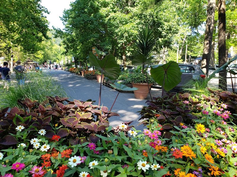 Planning Your Visit: Practical Tips for a Great Day Planning Your Visit: Practical Tips for a Great Day