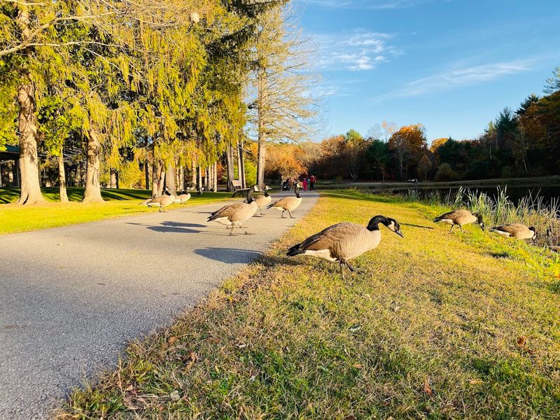 Planning Your Visit: What to Know Before You Go