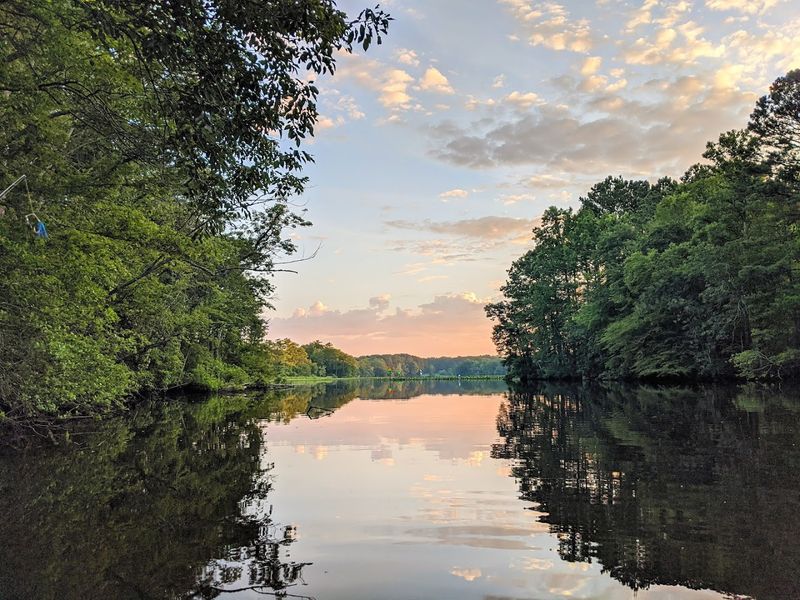 Pocomoke River State Park Pocomoke River State Park