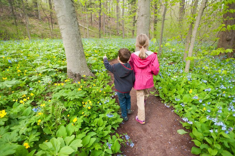 Practical Tips That Will Make Your Visit Much Smoother Practical Tips That Will Make Your Visit Much Smoother