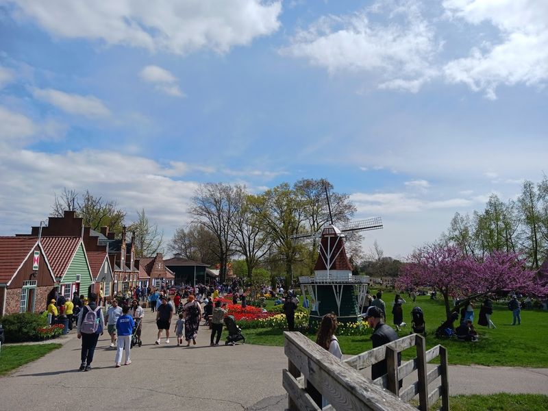 Practical Tips for Getting the Most Out of Your Visit