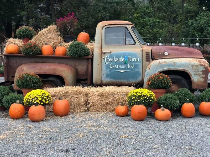 Practical Tips for Getting the Most Out of Your Visit