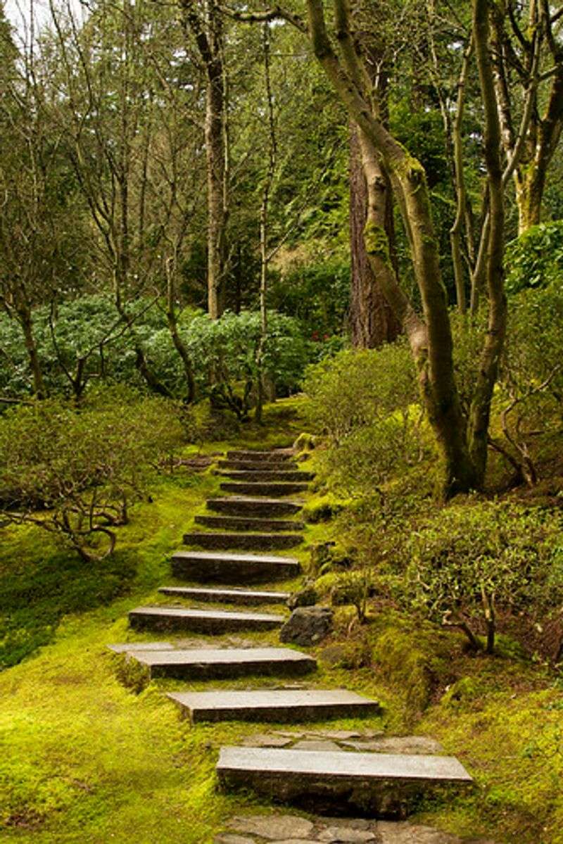 Practical Tips for Getting the Most Out of Your Visit