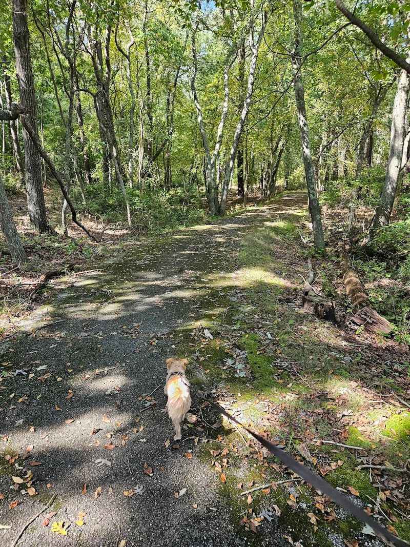Practical Tips for Visiting: Ticks, Thorns, and Trail Smarts
