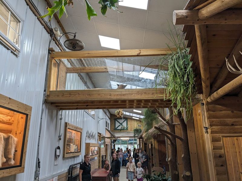 Practical Tips to Make the Most of Your Visit