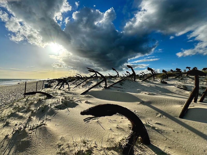 Praia do Barril – Tavira Island