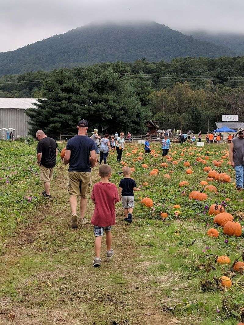 Pressing Cider and Picking Pumpkins in the Fall