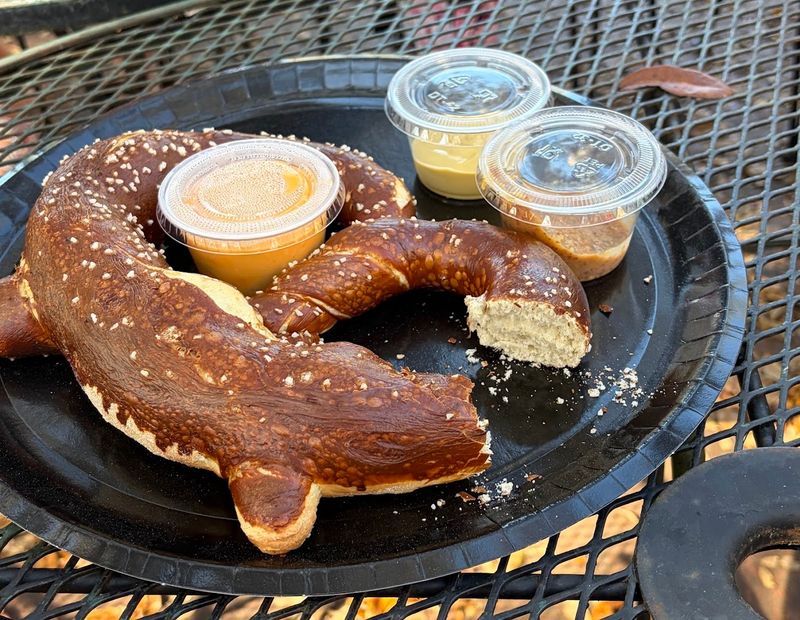 Pretzels That Redefine What You Thought You Knew