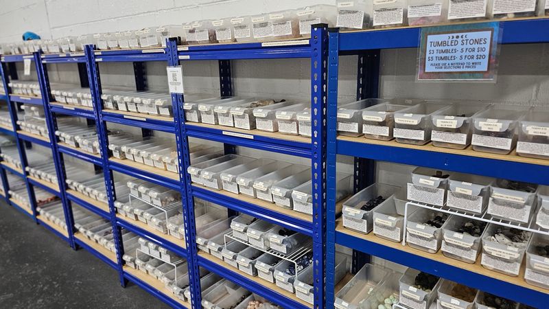 Prices That Make Collecting Accessible