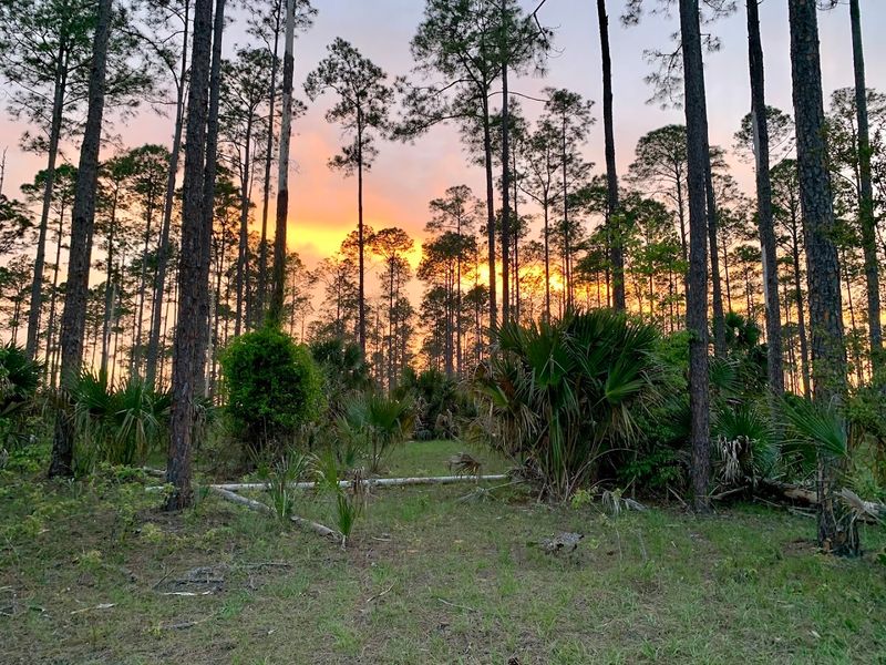 Primitive Camping Under a Wild Florida Sky Primitive Camping Under a Wild Florida Sky