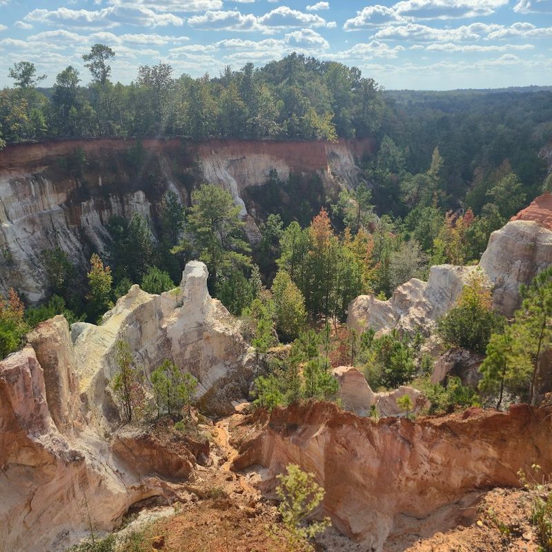 Providence Canyon State Park, Lumpkin, Georgia Providence Canyon State Park, Lumpkin, Georgia