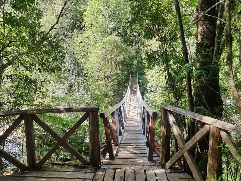 Pumalín Douglas Tompkins National Park