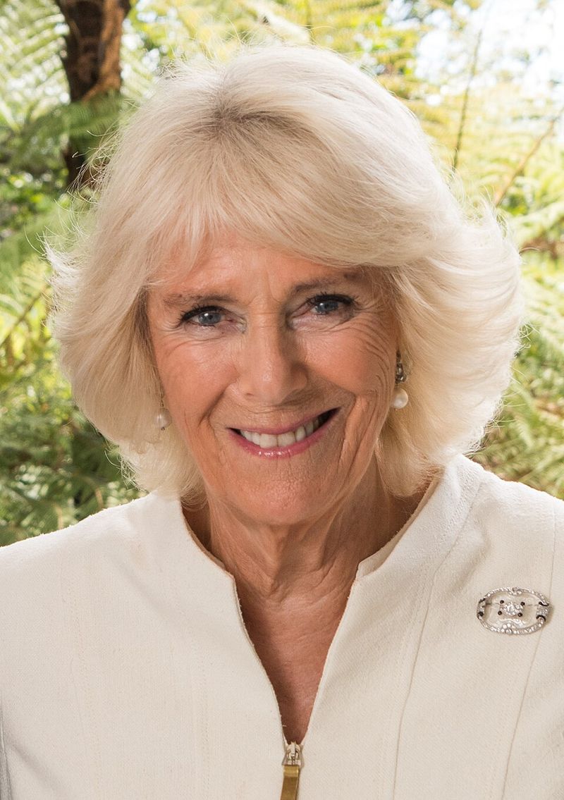 Queen Camilla: Porridge Queen Camilla: Porridge
