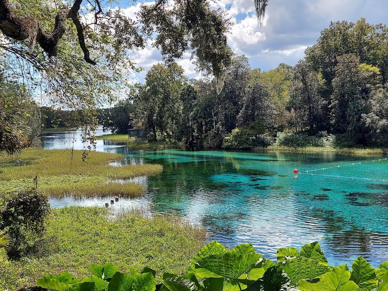 Rainbow Springs State Park, Dunnellon Rainbow Springs State Park, Dunnellon