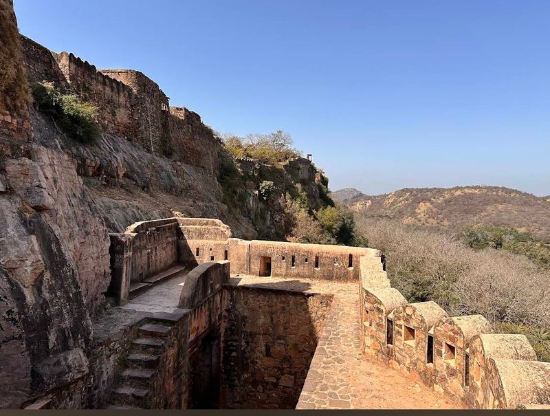 Ranthambore National Park - Rajasthan