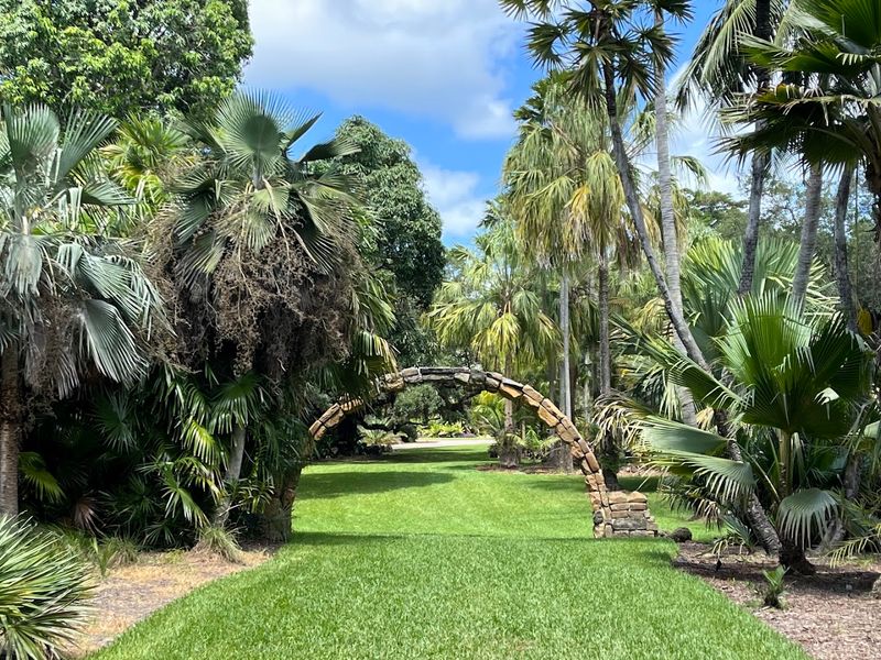 Rare Palms, Coconut Groves, and the Botanical Collections