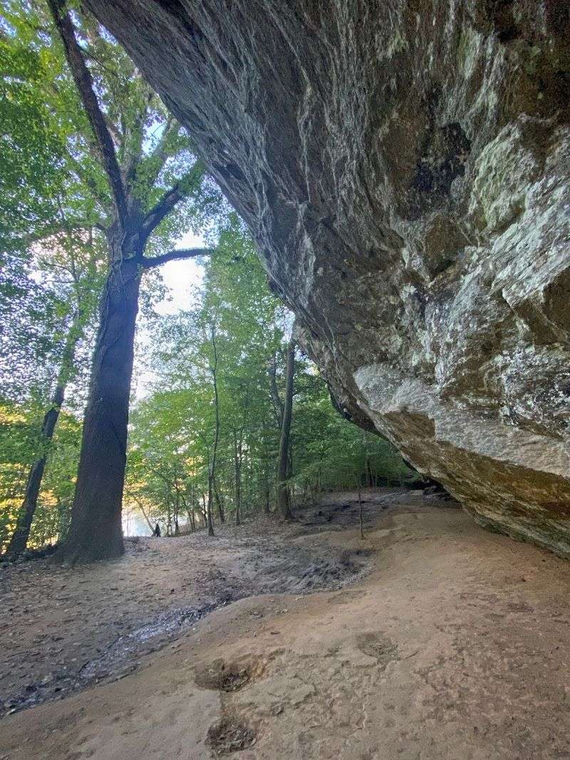 Raven Rock Loop Trail, Lillington, North Carolina