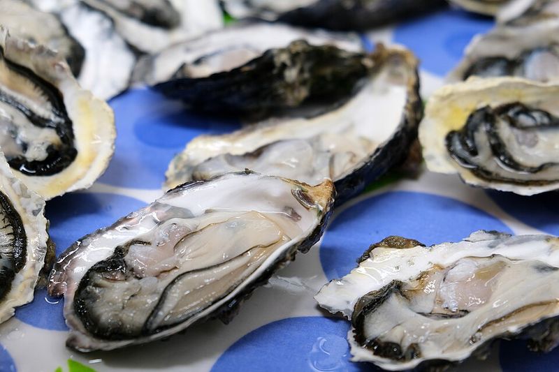 Raw Oysters from Florida Waters