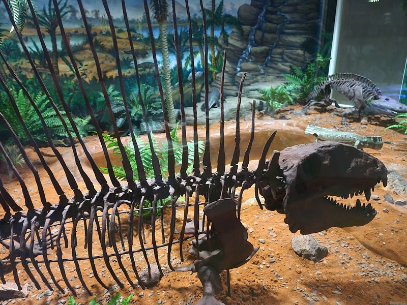 Real Fossils vs. Replicas: What You Should Know Real Fossils vs. Replicas: What You Should Know