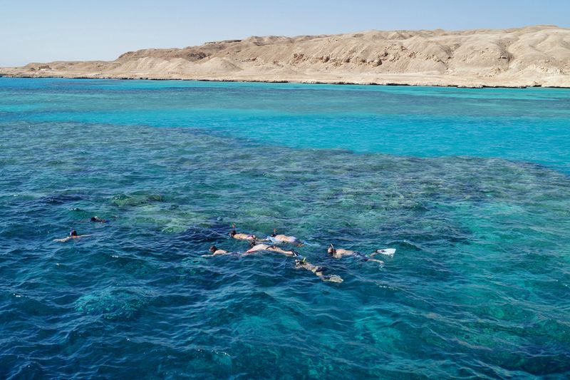 Red Sea, Egypt Red Sea, Egypt