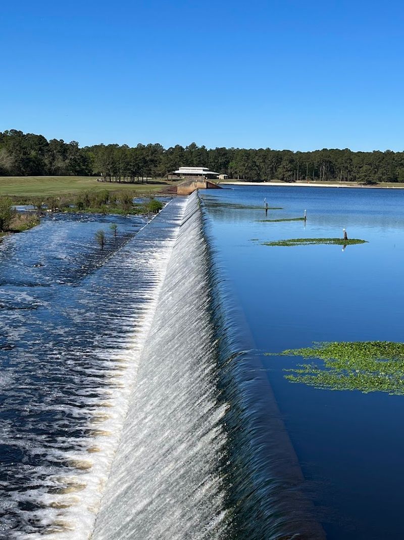 Reed Bingham State Park, Adel, Georgia