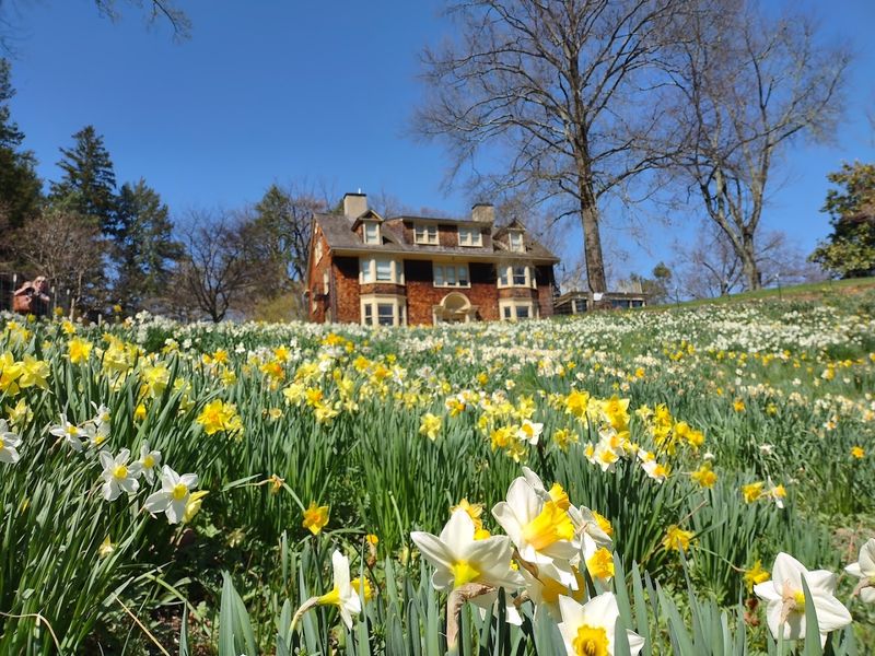 Reeves-Reed Arboretum, Summit, New Jersey
