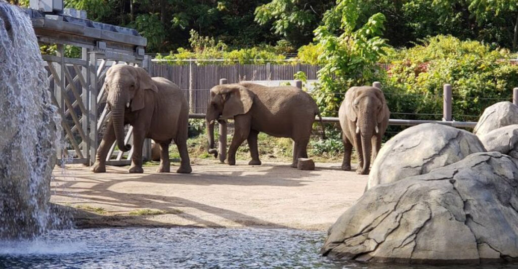 Rhode Island Is Home to a Zoo That Has Been Welcoming Visitors Since 1872