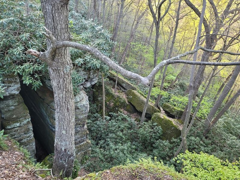 Rhododendron Cove State Nature Preserve in Hocking County Rhododendron Cove State Nature Preserve in Hocking County