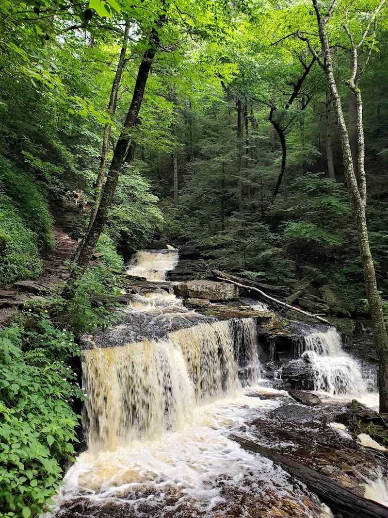 Ricketts Glen Falls Trail, Benton, Pennsylvania Ricketts Glen Falls Trail, Benton, Pennsylvania